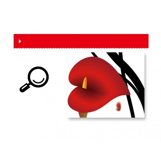 Sticker decorativ, Flori Anthurium rosii, 147 cm, 742STK Sticker decorativ, Flori Anthurium rosii, 147 cm, 742STK