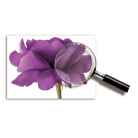 Sticker decorativ, Flori mov, 140 cm, 797STK Sticker decorativ, Flori mov, 140 cm, 797STK