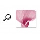 Sticker decorativ, Flori roz, 155 cm, 746STK