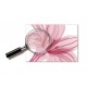 Sticker decorativ, Flori roz, 160 cm, 743STK