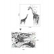 Sticker decorativ, Girafe, 130 cm, 747STK
