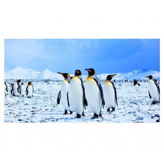 Sticker decorativ, Pinguini, 130 cm, 794STK Sticker decorativ, Pinguini, 130 cm, 794STK