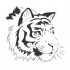 Sticker decorativ, Tigru, 55 cm, 1075STK