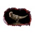 Sticker decorativ cu Dinozauri, 85 cm, 4233ST-1