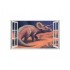 Sticker decorativ cu Dinozauri, 85 cm, 4261ST
