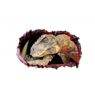 Sticker decorativ cu Dinozauri, 85 cm, 4289ST-1 Sticker decorativ cu Dinozauri, 85 cm, 4289ST-1
