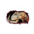 Sticker decorativ cu Dinozauri, 85 cm, 4289ST-1