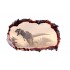 Sticker decorativ cu Dinozauri, 85 cm, 4292ST-1