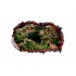 Sticker decorativ cu Dinozauri, 85 cm, 4295ST-1