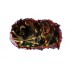 Sticker decorativ cu Dinozauri, 85 cm, 4327ST-1