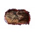 Sticker decorativ cu Dinozauri, 85 cm, 4330ST-1