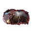 Sticker decorativ cu Dinozauri, 85 cm, 4342ST-1