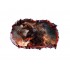 Sticker decorativ cu Dinozauri, 85 cm, 4359ST-1