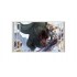 Sticker decorativ cu Dinozauri, 85 cm, 4420ST