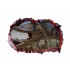 Sticker decorativ cu Dinozauri, 85 cm, 4424ST-1