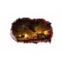 Sticker decorativ cu Dinozauri, 85 cm, 4427ST-1