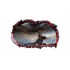 Sticker decorativ cu Dinozauri, 85 cm, 4432ST-1