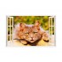 Sticker decorativ, Fereastra 3D, Pisica, 85 cm, 300STK