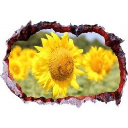 Sticker decorativ, Gaura in perete 3D, Floarea soarelui, 85 cm, 336STK-1