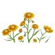 Sticker decorativ, Musatel, 150 cm, 398STK-1