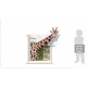 Sticker decorativ, fereastra cu girafa 79 cm, 58STK Sticker decorativ, fereastra cu girafa 79 cm, 58STK
