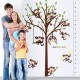 Sticker decorativ, masuratoare cu maimutele, 182 cm, 89STK Sticker decorativ, masuratoare cu maimutele, 182 cm, 89STK