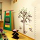 Sticker decorativ, masuratoare cu maimutele, 182 cm, 89STK Sticker decorativ, masuratoare cu maimutele, 182 cm, 89STK