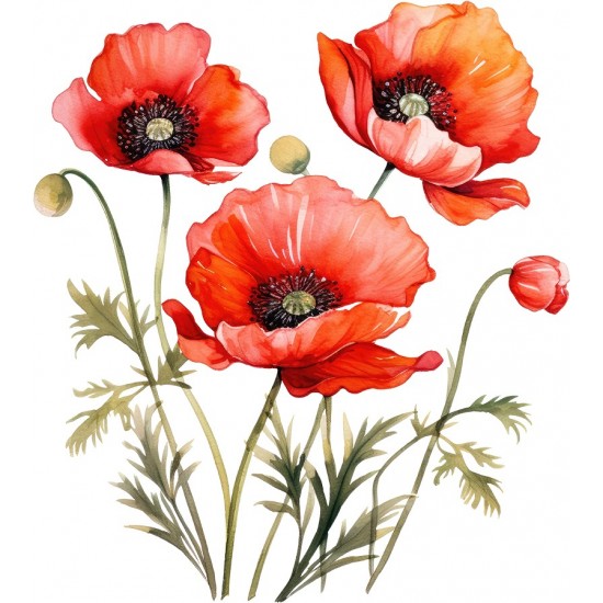 Sticker decorativ, Buchet de Flori Maci, Rosu, 67 cm, 1350STK