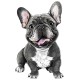 Sticker decorativ, Caine French Bulldog, Negru, 85 cm, 1203STK-1 Sticker decorativ, Caine French Bulldog, Negru, 85 cm, 1203STK-1