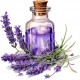 Sticker decorativ, Esenta Lavanda, Mov, 60 cm, 1339STK-2