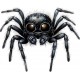 Sticker decorativ, Paianjen, Negru, 73 cm, 1343STK Sticker decorativ, Paianjen, Negru, 73 cm, 1343STK