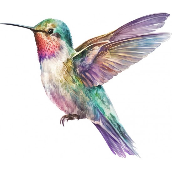 Sticker decorativ, Pasarea Colibri, Multicolor, 70 cm, 1271STK-1