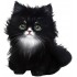 Sticker decorativ, Pisica, Negru, 66 cm, 1230STK